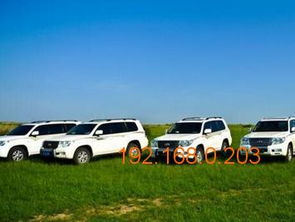 呼倫貝爾汽車租賃指南 哪里租車及行情價(jià)格解析